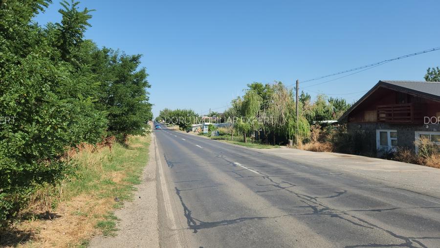 Frumusani-Pasarea,stradal la asfalt,ideala investitie! - 3