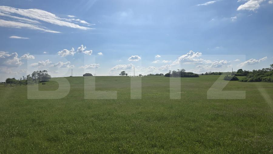 Teren agricol, comasat, apa, curent, 755000 mp, langa autostrada, Timis - 3