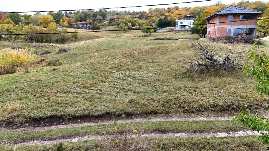 Teren intravilan 1250mp  cu PUZ in Cisnădioara - 5