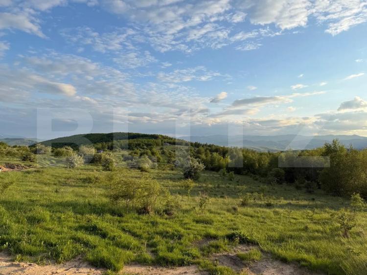 Teren intravilan, 1000 mp, zona Salicea