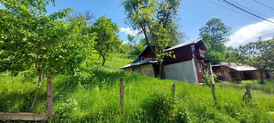 Casa gospodarului, bine întreținută, cu teren generos – Comarnic - 18
