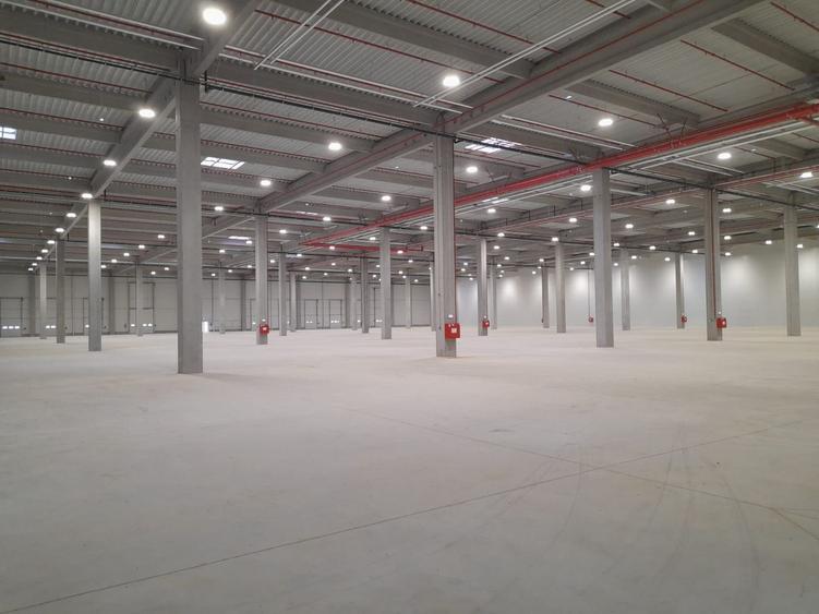 Spatiu productie Timisoara Nord TIM6 A