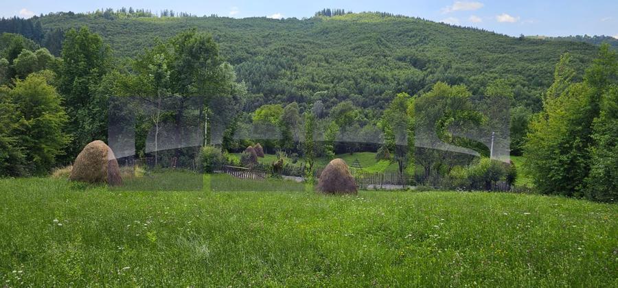 VANZARE 5 LOTURI TEREN PENTRU CASE DE VACANTE | TESILA | VALEA DOFTANEI |