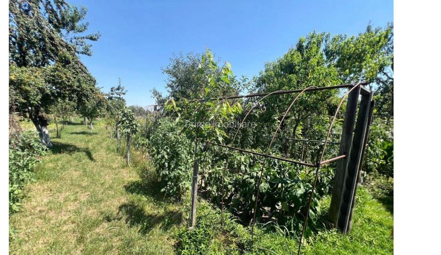 Casă spațioasă pe un nivel, cu teren generos de 2.210 mp, de vânzare în Șibot - 11