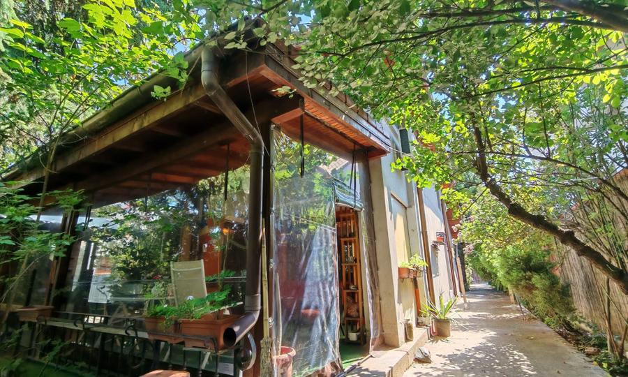 Vila cu sera si gradina amenajata