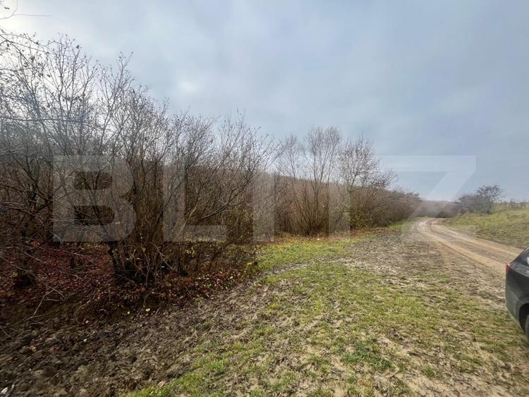 Teren extravilan, 4 hectare, langa livada de mere Ghinda