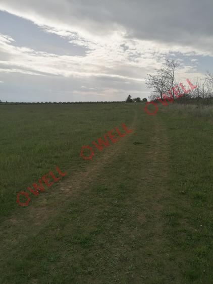 Teren intravilan de vânzare în Moacșa (Eresteghin)!