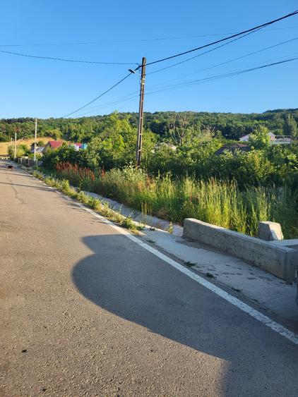 Teren pentru constructii case de vanzare Iasi Chiperesti