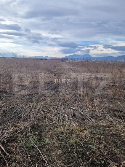 Teren de vanzare 1500 mp - intravilan Codlea - 30 euro mp - 3