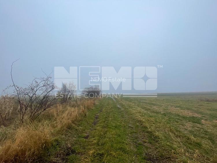 TEREN EXTRAVILAN | DOUA PARCELE 2.84 HA| DARMANESTI - 7