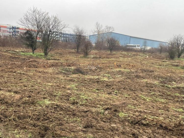 de vinzare teren 5700 mp Clinceni - 2