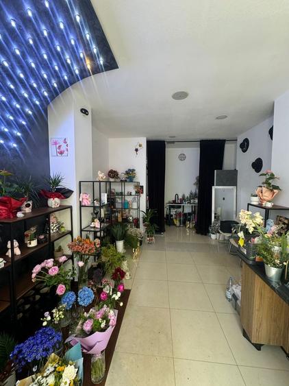 Spatiu comercial | Zona Buzesti/Victoriei | Vad Stradal