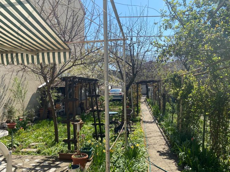 Casa  cu gradina, Colentina - 2