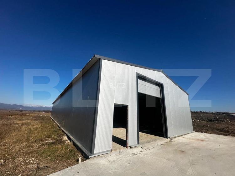 Hala 480 mp si 2000 mp teren, zona Preajba - 4