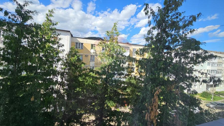Apartament cu 2 camere de închiriat în zona Precista - 18