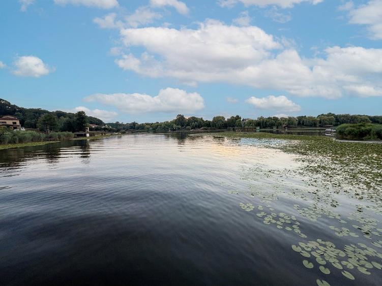Teren în Snagov, intre Lac și Pădure