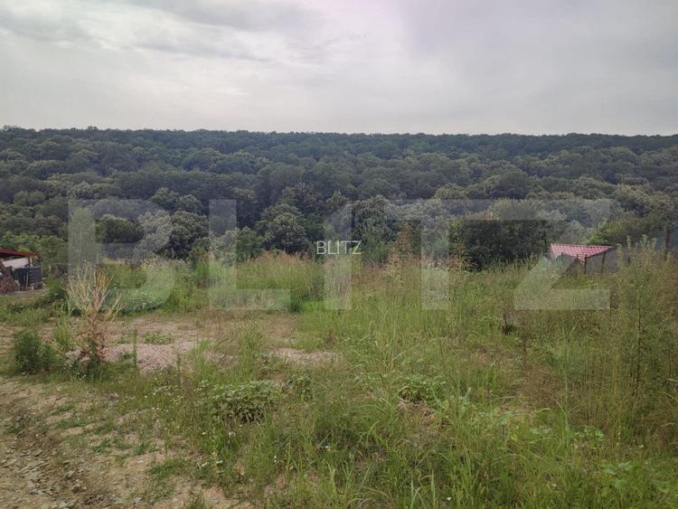 Teren 2350 mp lângă pădure ,zona Leamna de Jos - 2