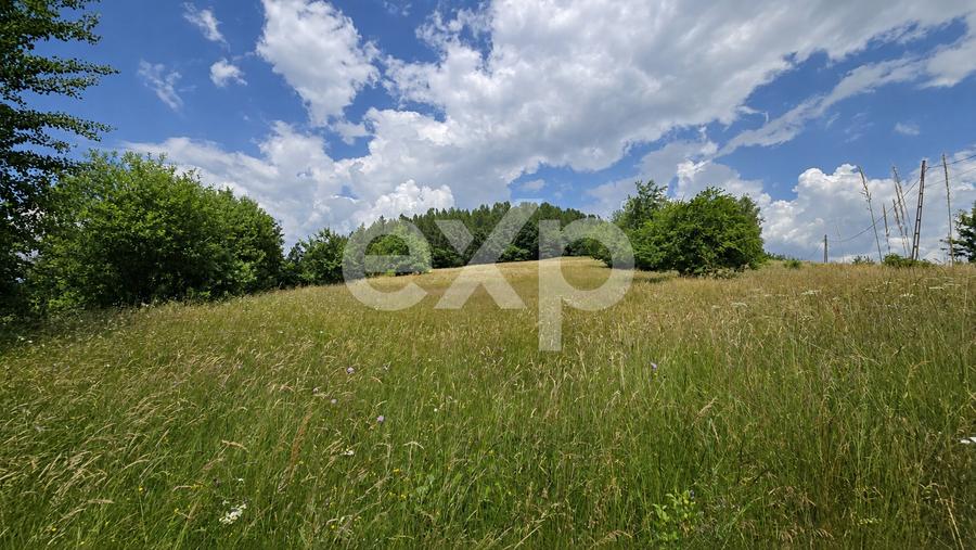 PANORAMA POIANA MĂRULUI | Teren cu potențial de dezvoltare zona  After Hills