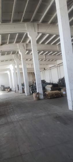 Hala renovata Orasul Alexandria