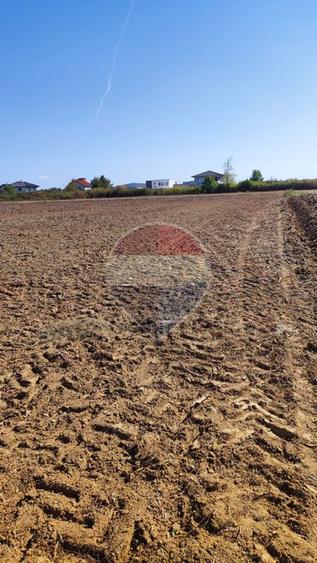 Teren 3187 mp intravilan de vânzare Oradea Nufarul zona Petru Maior