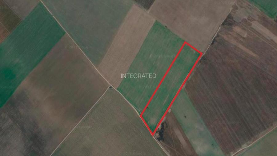 Teren extravilan -  60.000 m² - Sat Chirculesti - 6