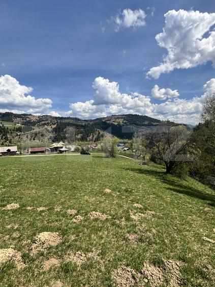 Teren în Vatra Dornei, str Roșu, 8450 mp, extravilan + intravilan