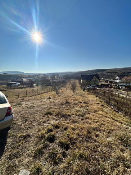 Teren intravilan pentru casa 2400 mp front 16ml Radaia sub pretul pietei