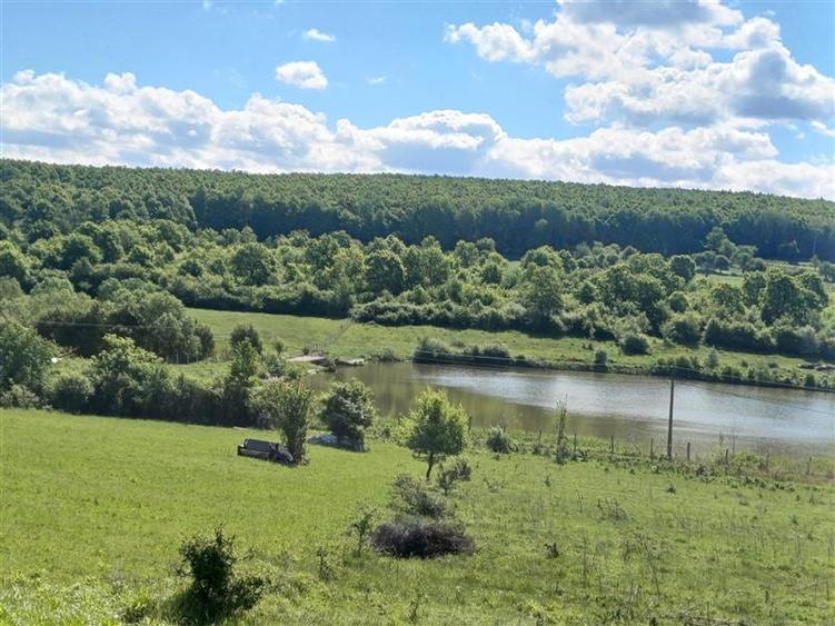 Teren 550 mp de vanzare in Tocile