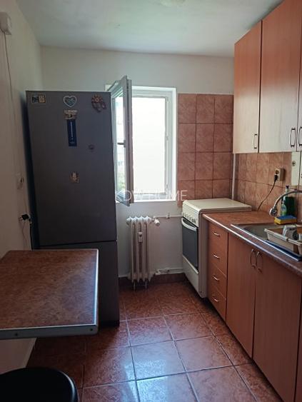 Teiul Doamnei-Parcul Tei, Apartament 2 camere - 9