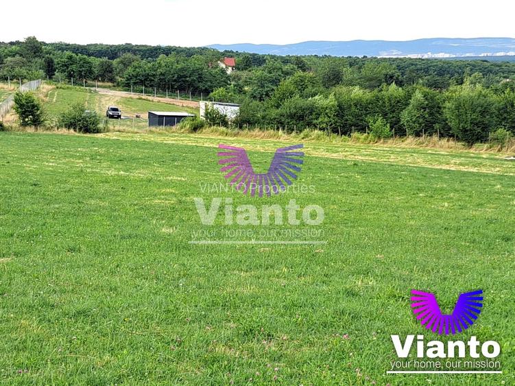Oportunitate-Teren Extravilan 3100 mp cu vedere Panoramica-Tropinii Noi-Rasinari - 4