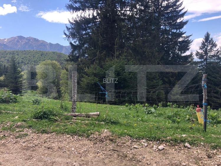 De vanzare, teren intravilan 10.000mp, Predeal - 7