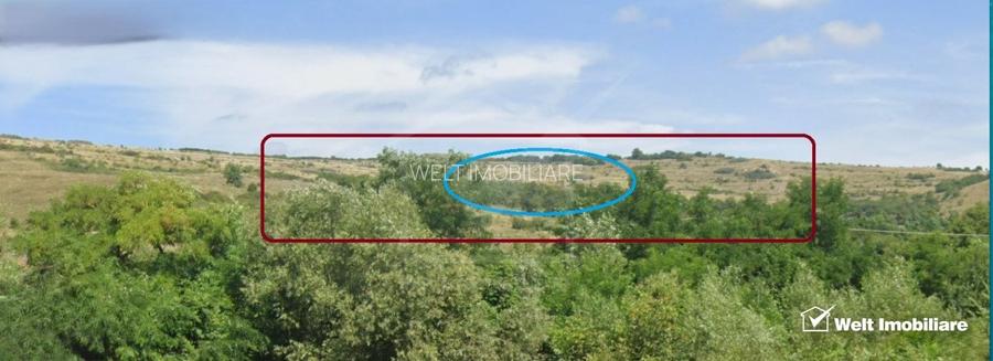 Teren extravilan in Feiurdeni, 7200 mp, expunere sudica - 2