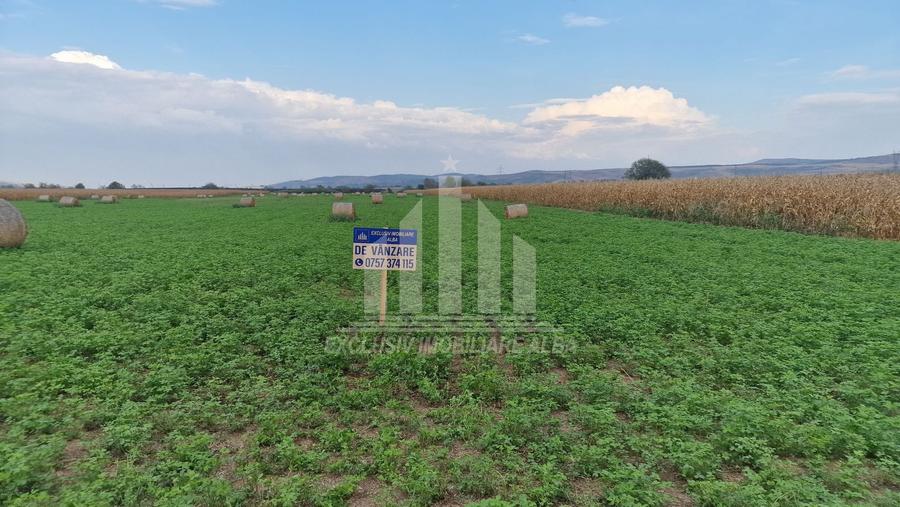 Teren intravilan | 17300 mp | 20 de parcele | Soseaua de Centura
