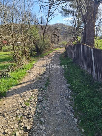 Proprietar vand casa+ teren 13000mp, Steia, Tomesti, jud. Hunedoara, 20km de Bra - 4