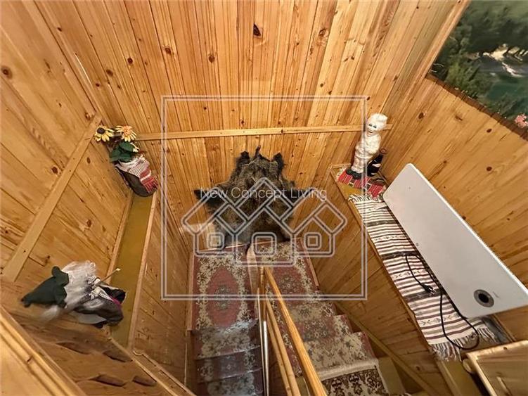 Casa de vacanta in Cartisoara, Transfagarasan - teren 971 mp, 8 camere - 25