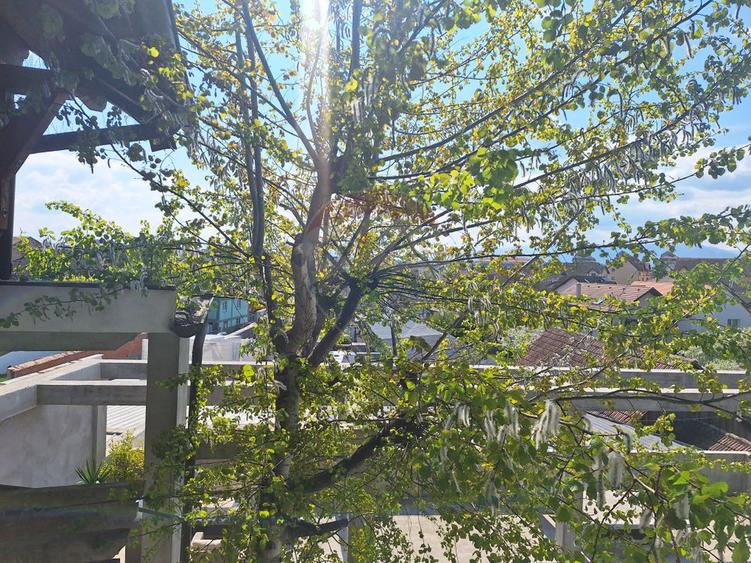 Descoperă un studio exclusivist la vila pe Calea Turnișorului