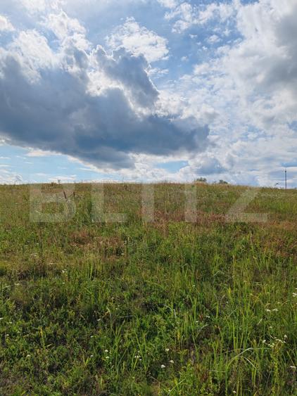 Teren intravilan ideal pentru casa, 4300 mp, Deusu - Chinteni