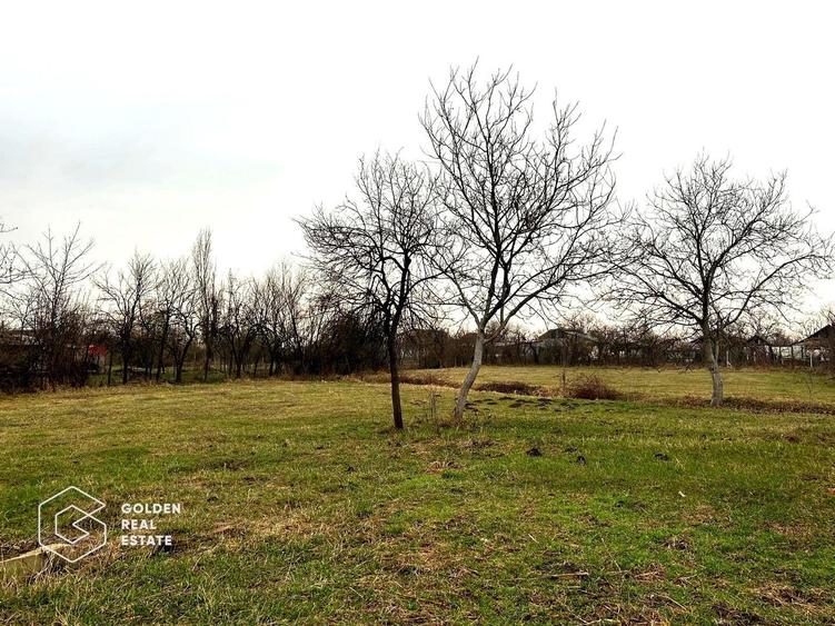 Teren intravilan, pretabil pentru constructie, 2880 mp, comuna Siria