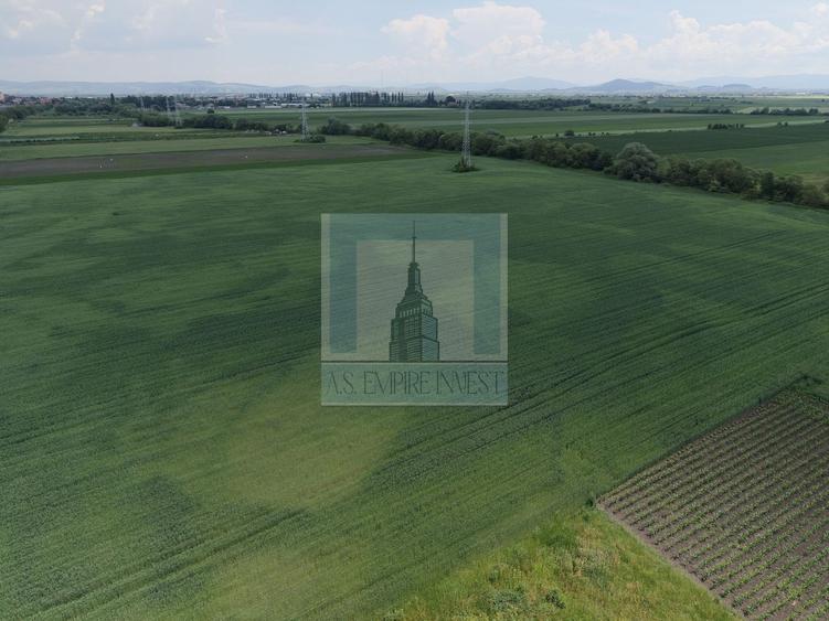 Teren intravilan 50000 mp, cu PUZ, Aprobat - zona Halchiu/Codlea