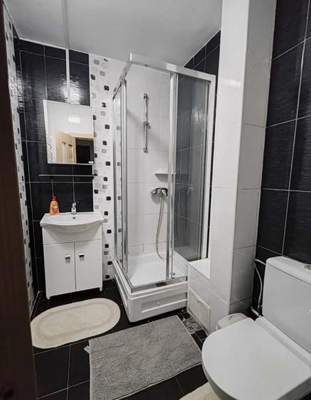Ap2 cam Podu Ros, renovat, mobilat si utilat!