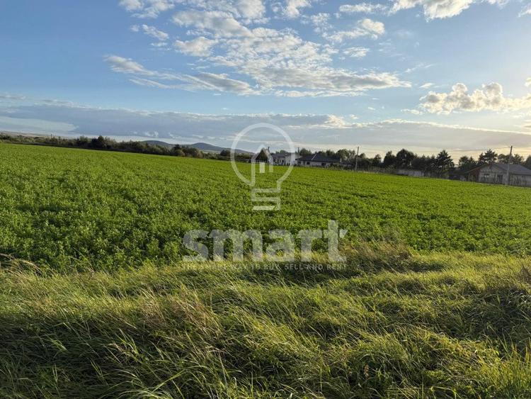 Teren Bistrita Valea Jelnei 19 eur mp
