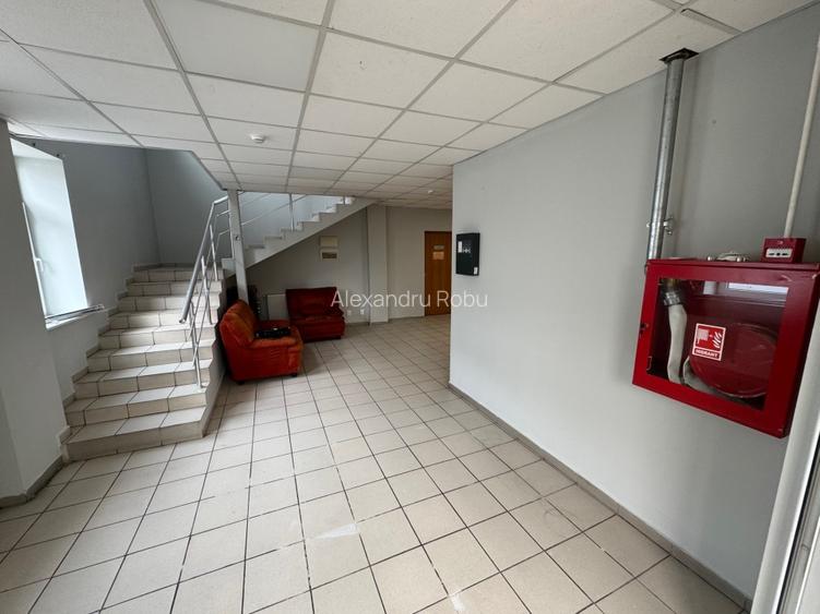 OTOPENI ODAILE HALA Productie si depozitare 1000 MP - 6