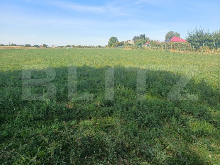 Teren de vanzare, 15 ari, zona Plopeni
