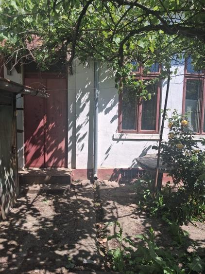 Casa 4 camere Turnu Magurele Central