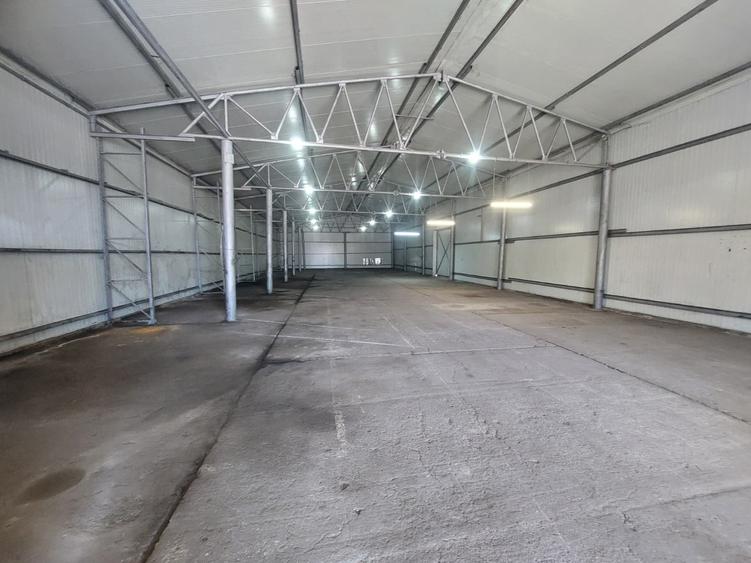 Zona Industrială / Interioare - eurohala, 500 mp., putere instalata
