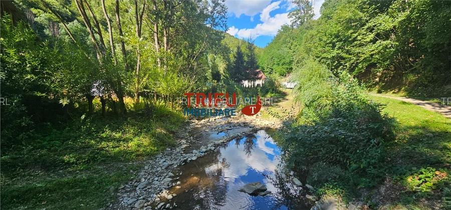Cabana de vânzare în Intregalde – 5 camere, 1.200 mp teren si ciub - 29