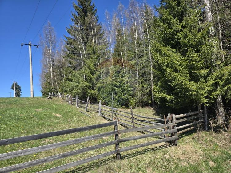 Teren 18,580mp Saru Dornei / DJ sat Neagra Sarului