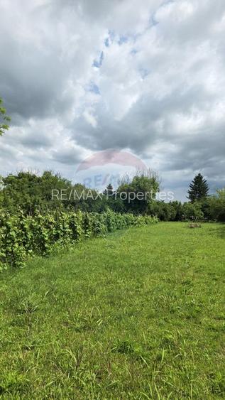 Domeniu rural, gospodarie/multifunctionala cu casa, livada, vie - 54