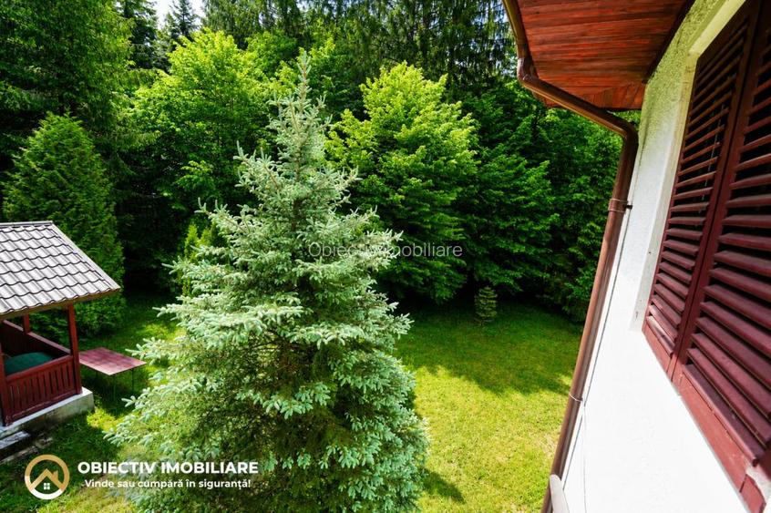 Cabană de Vânzare în Tarcău – Natură, Relaxare și Pescuit la Poartă! - 6
