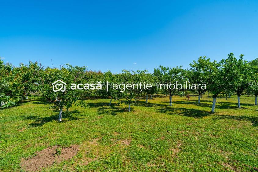 REZERVAT -Casă spațioasă cu teren generos în Felnac – la 18 km de Arad - 8